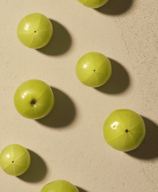 baloon vine ingredient.png